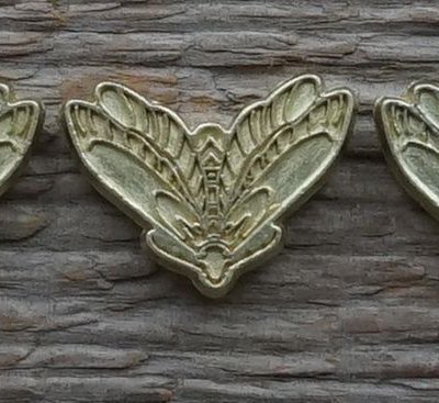 Spirits of the Forest: The Golden Fireflies