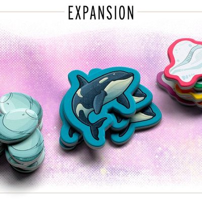 Waddle: Orcas & Ice Floes