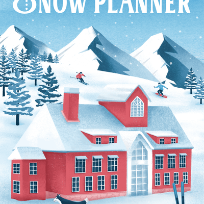 Snow Planner