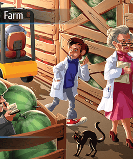Spyfall: Produce Farm promo cards
