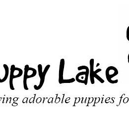 Puppy Lake