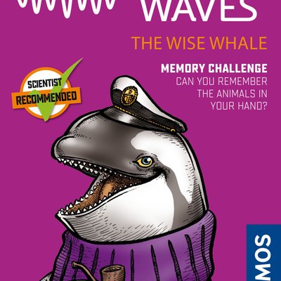 Brainwaves: The Wise Whale