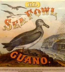 Guano! Guano!! Guano!!!