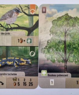 Forest Shuffle: Hobby Next Promo Cards