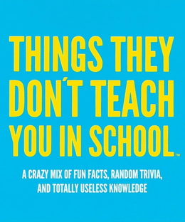 Things They Don't Teach You in School