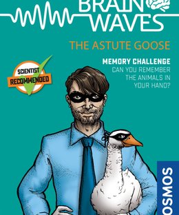 Brainwaves: The Astute Goose