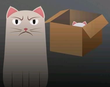 SchWag: Schrödinger's Wager