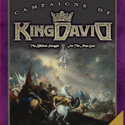 The Campaigns of King David: The Biblical Struggle for the Near East