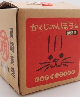 Cat Hiding