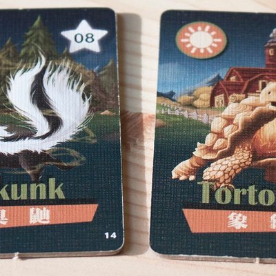 Animals Frightening Night! Tortoise and Skunk