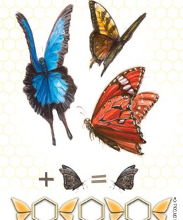 Dust in the Wings: Inuit Promo Card