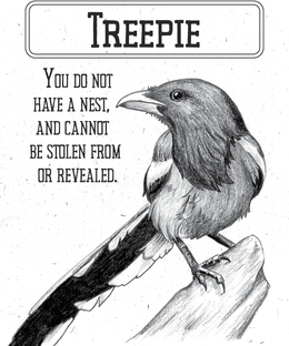 Corvids: Promo Pack 2024