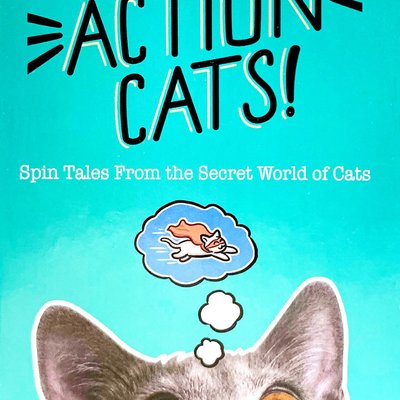 Action Cats!