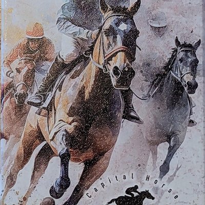 Capital Horse