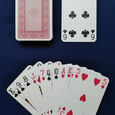 マストフォローソリティア (Follow-the-Suit Solitaire)