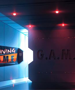 Surviving the G.A.M.E.