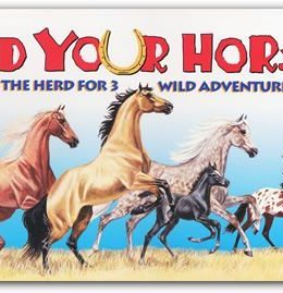 Herd Your Horses!