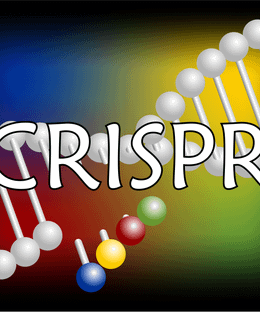 CRISPR