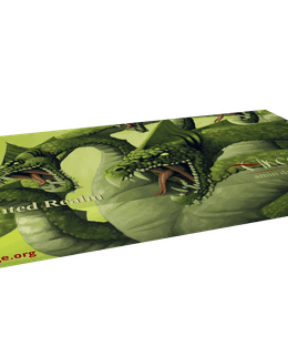 Arcmage: Enchanted Realm