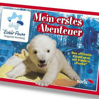 Eisbär Flocke  Mein erstes Abenteuer