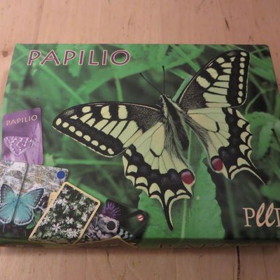Papilio