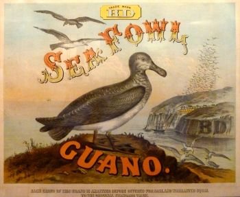 Guano! Guano!! Guano!!!