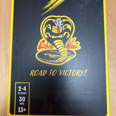 Cobra Kai: Road to Victory