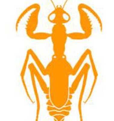 Praying Mantis (fan expansion for Hive)