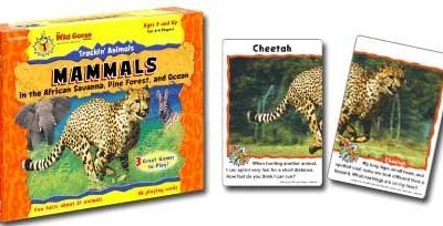 Trackin' Animals: Mammals in the African Savanna, Pine Forest, and Ocean