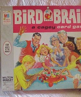 Bird Brain