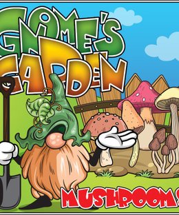 Gnome's Garden: Mushrooms