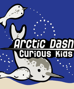 Arctic Dash: Curious Kids