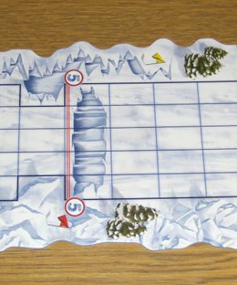 Snow Tails: Polar Plunge Track