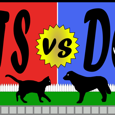 Cats vs Dogs