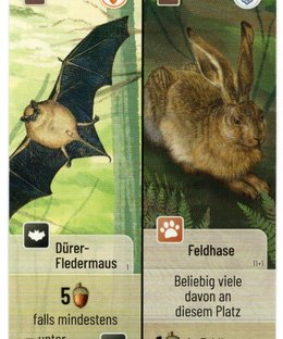 Mischwald: Dürer-Fledermaus / Feldhase Promokarte