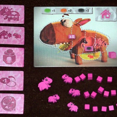 Wombat Rescue: 5th Player Expansion