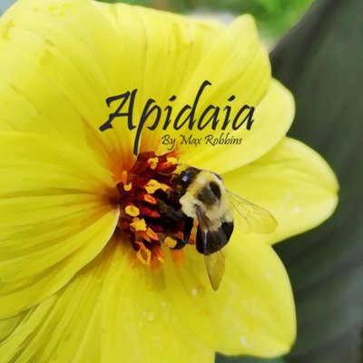 Apidaia