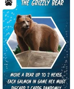 Salmon Run: The Grizzly Bear