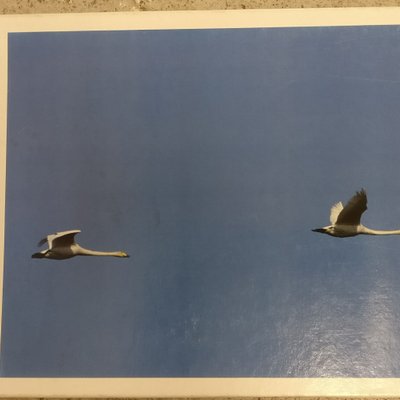 Suomipeli: The game of Finland