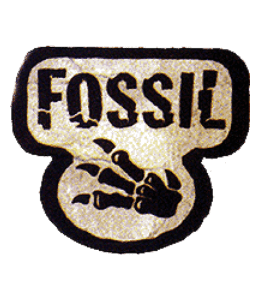 Pokémon TCG: Fossil Expansion