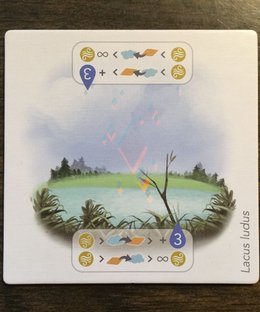 Petrichor: Lake Promo Tile
