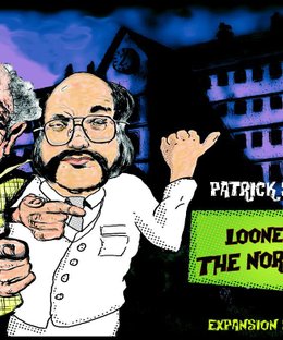 Looney Bin: The North Wing