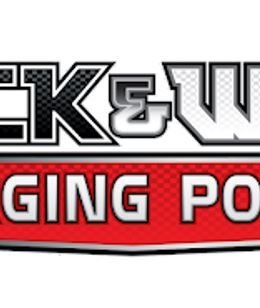 Pokémon TCG: Emerging Powers Expansion