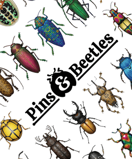 Pins & Beetles