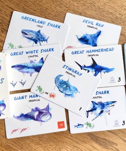 Ocean Pods: Sharks & Rays