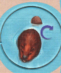 Whitewater: Cranky Beavers