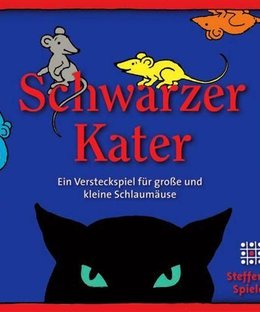 Schwarzer Kater