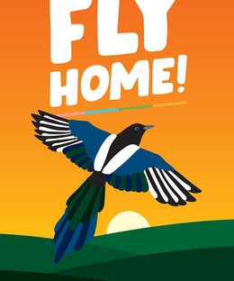 Fly Home!