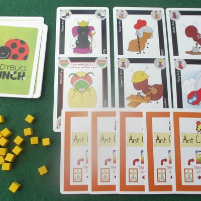 Ladybug Lunch: Ant Antics