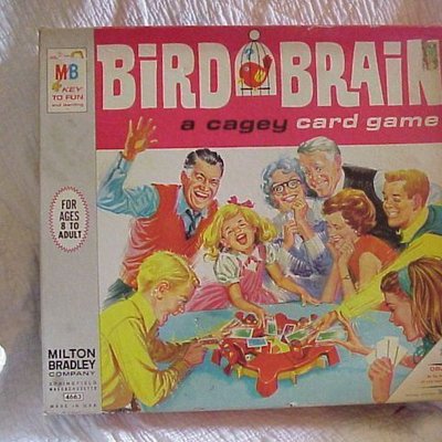 Bird Brain